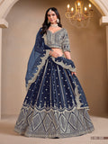 Lehenga choli with premium Embroidery work LXLG0013