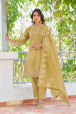 Ornate Glow Pakistani Suit EAPK0066