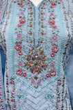 Grace in Glimmer Pakistani Suit EAPK0059