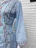 Grace in Glimmer Pakistani Suit EAPK0059