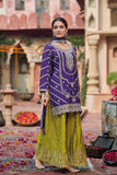 Heavy Chinon sharara with Squence work EASR00023