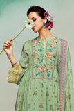 Elysian Lace Georgette Suit LXST0029