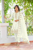 Ornate Glow Pakistani Suit EAPK0066