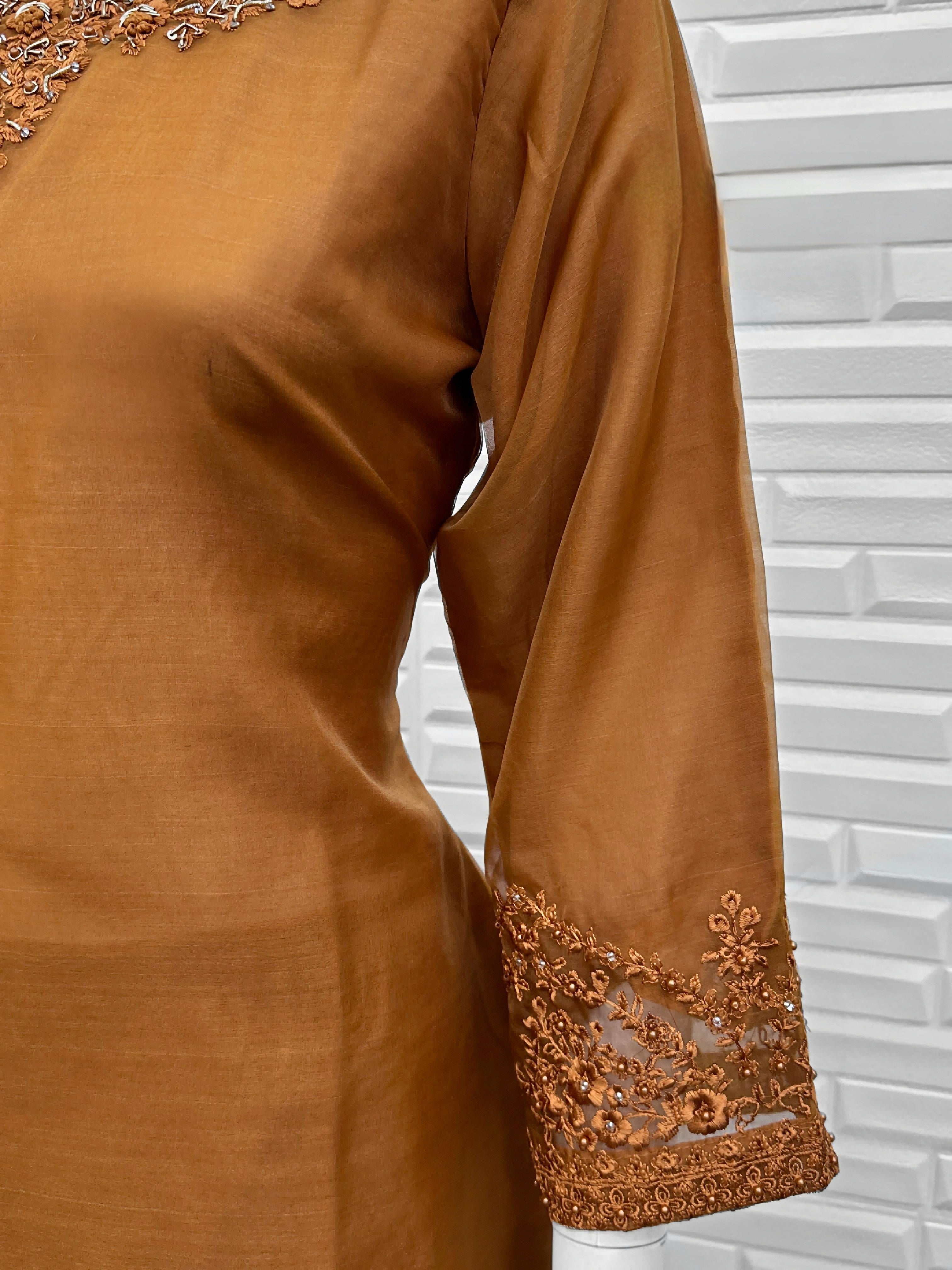 Pearl Mist Organza Set Pakistani Suit EAPK0061