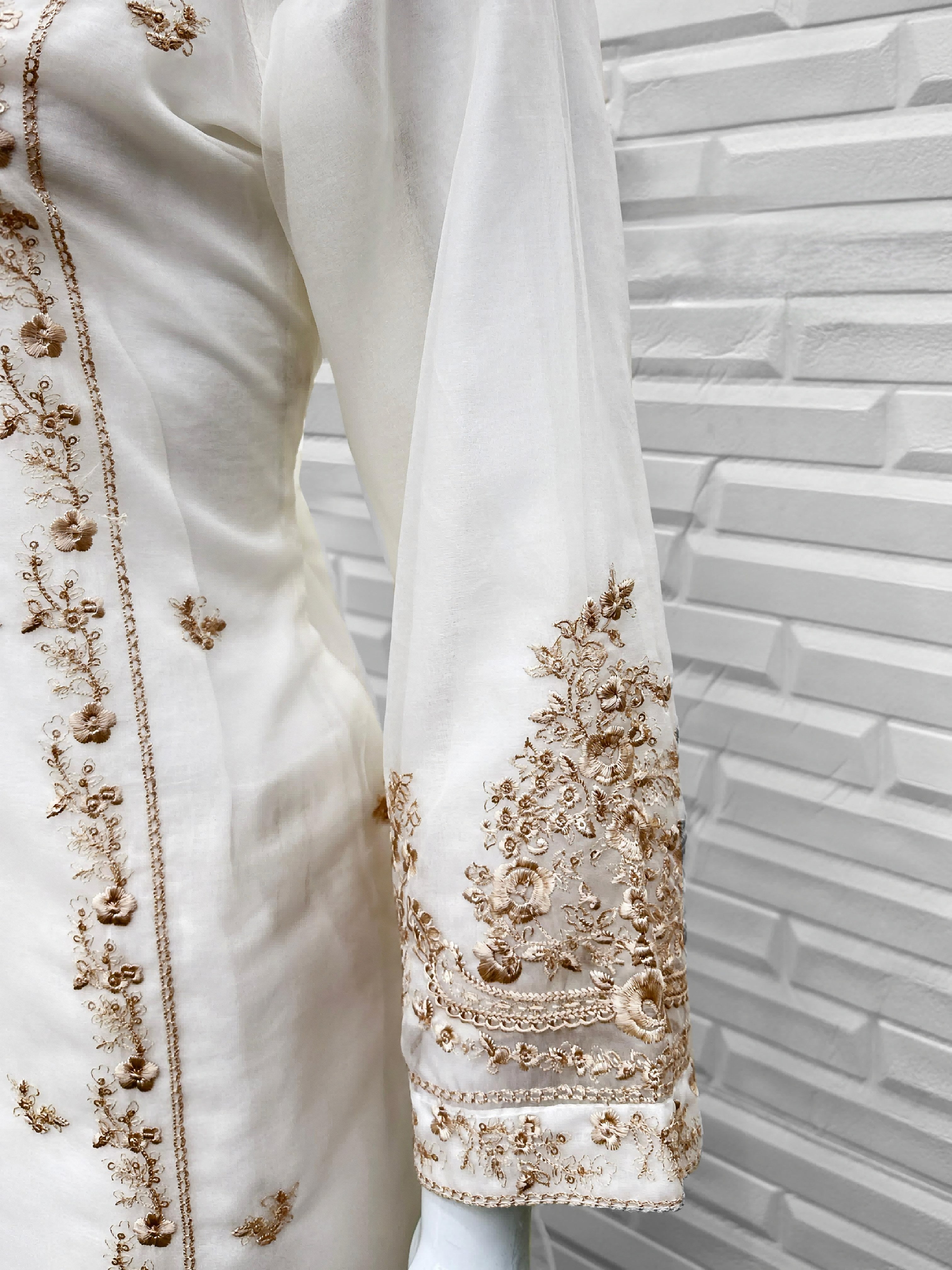 Ornate Glow Pakistani Suit EAPK0066