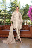 Aarzoo Pakistani Suit EAPK0097