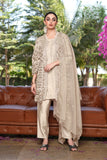 Aarzoo Pakistani Suit EAPK0097