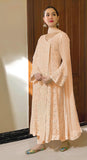 The Sequin Stone Edition Pakistani Suit EAPK0041