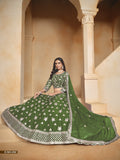 Radiant Beauty Organza Lehenga LXLG0004