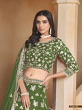 Radiant Beauty Organza Lehenga LXLG0004