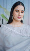 Pearl Mist Organza Set Pakistani Suit EAPK0061
